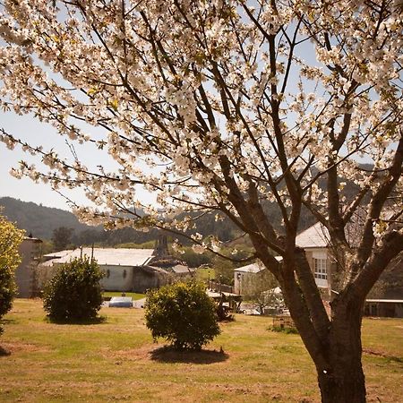 As Vinas Otel Viveiro Dış mekan fotoğraf
